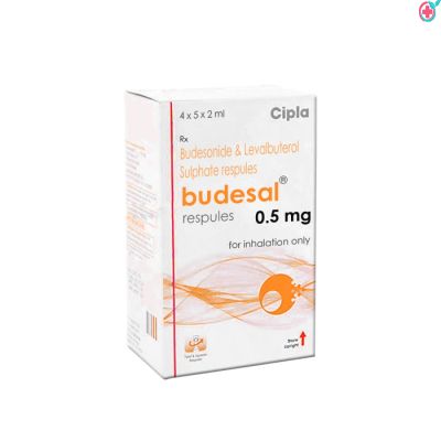Budesal 0.5mg Respule (Levosalbutamol + Budesonide)