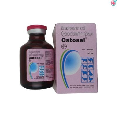 Catosal injection (Butaphosphan+Cyanocobalamin)