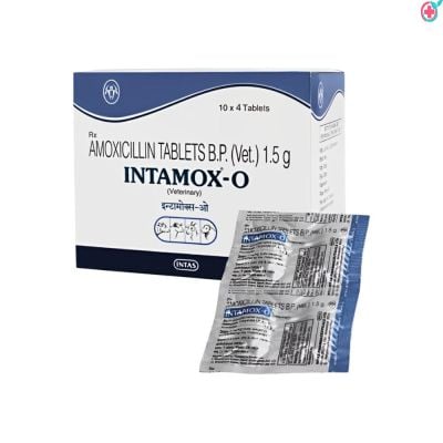 Intamox-O Veterinary Tablet (Amoxicillin) | Amoxil | Used to Treat Bacterial Infections in Animals (Dogs, Cats, and Other)