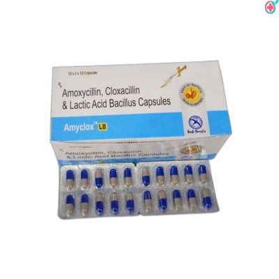 Amoxyclox LB (Amoxycillin Trihydrate + Cloxacillin Sodium + Lactic Acid Bacillus)