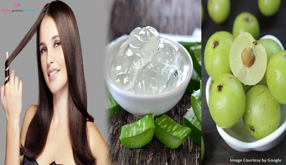 Aloe Vera vs. Amla: Which is the Better Choice for Hair Growth?