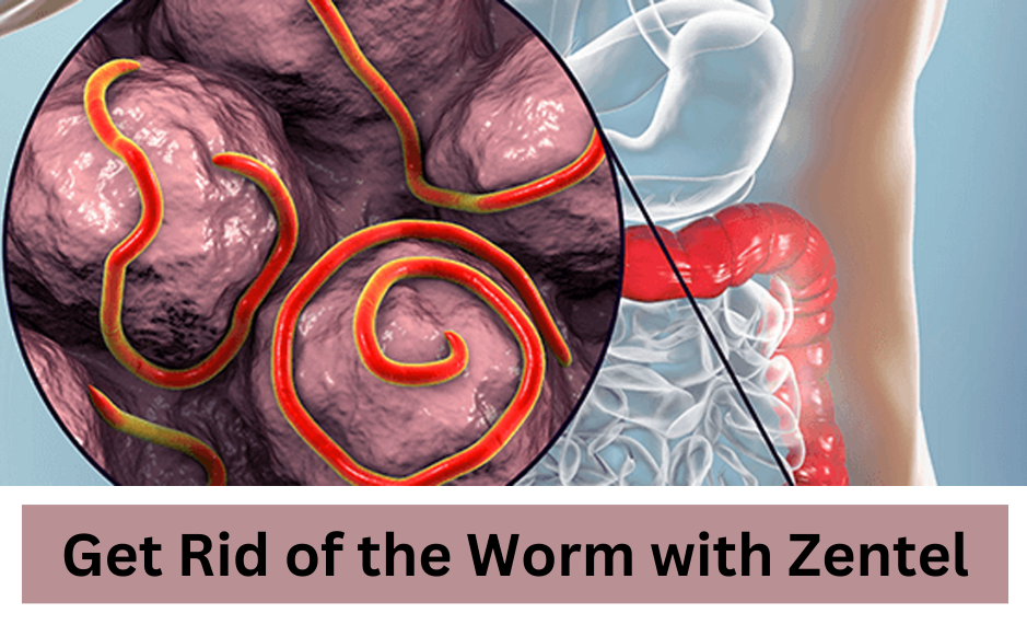 Get Rid of the Worm with Zentel