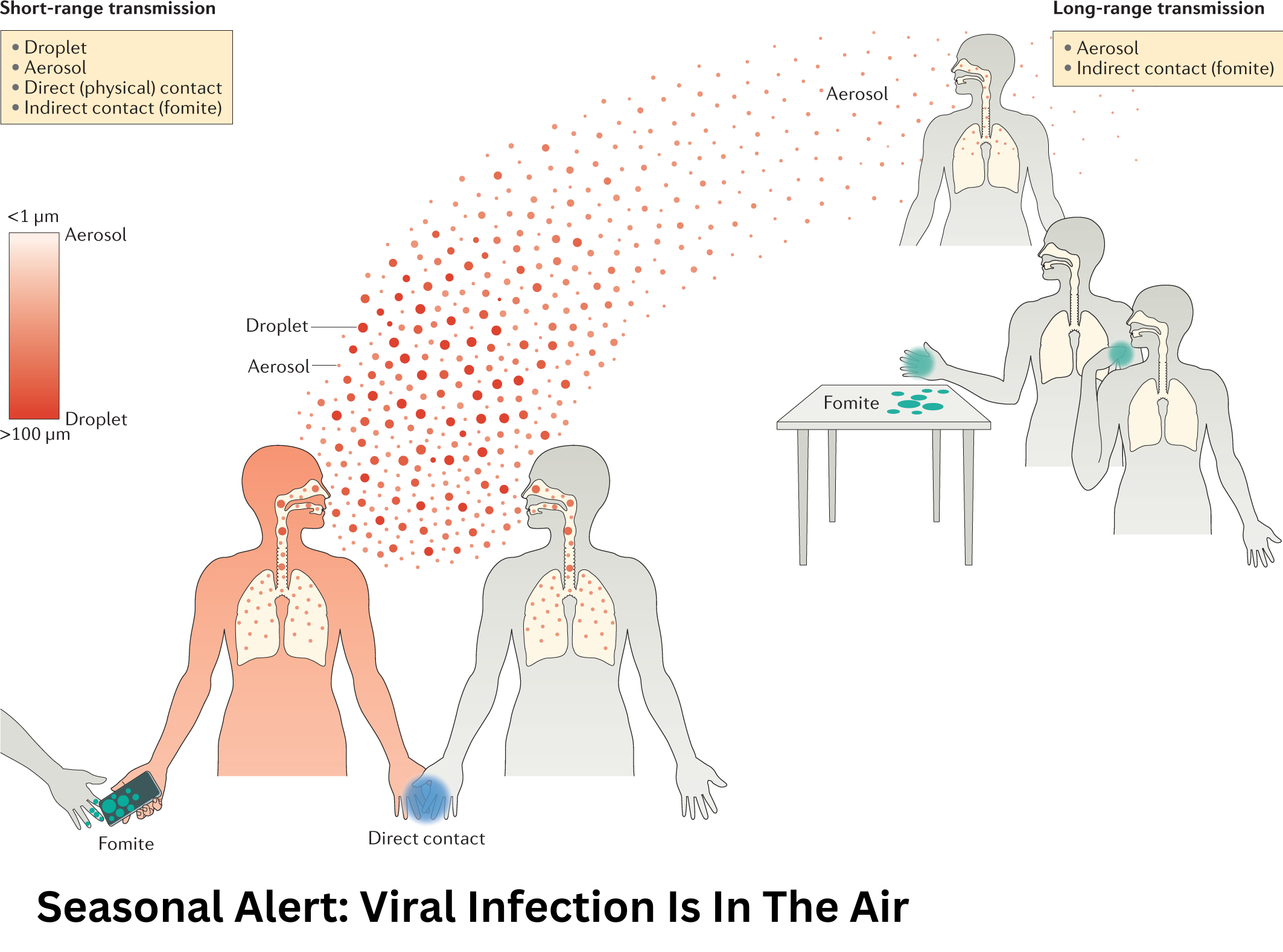 Seasonal Alert: Viral Infection Is In The Air